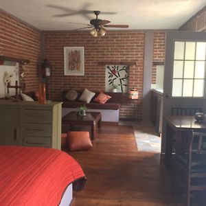 Suites colibri